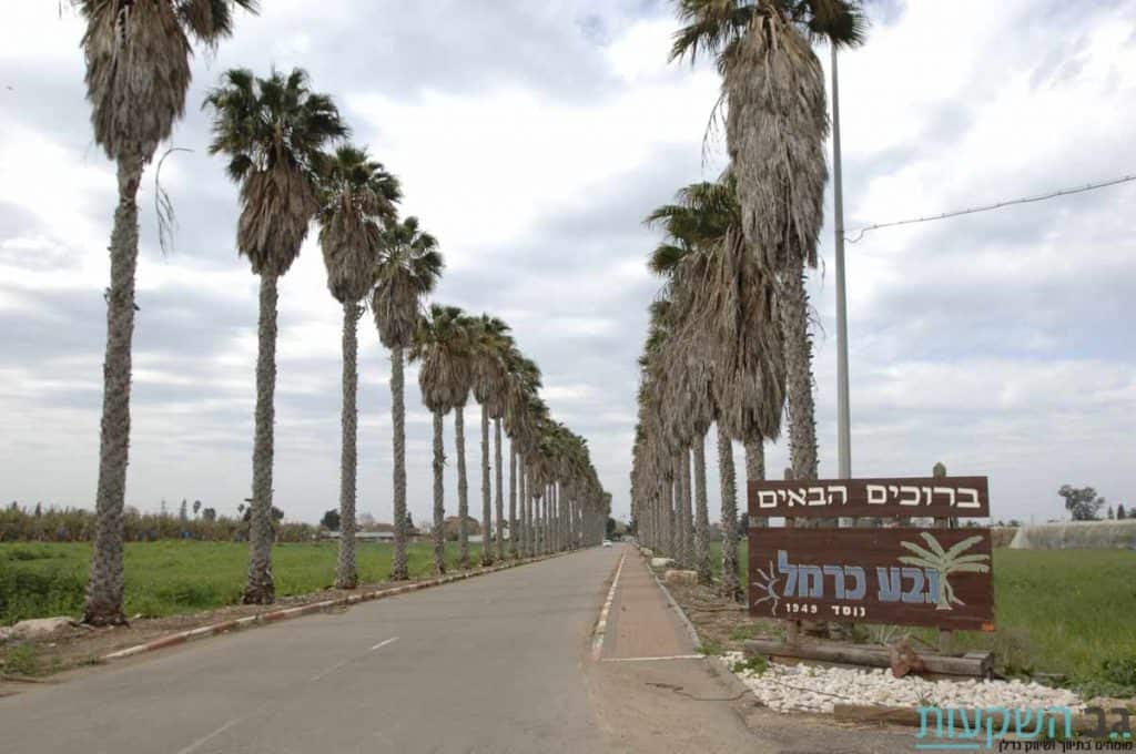 גבע כרמל